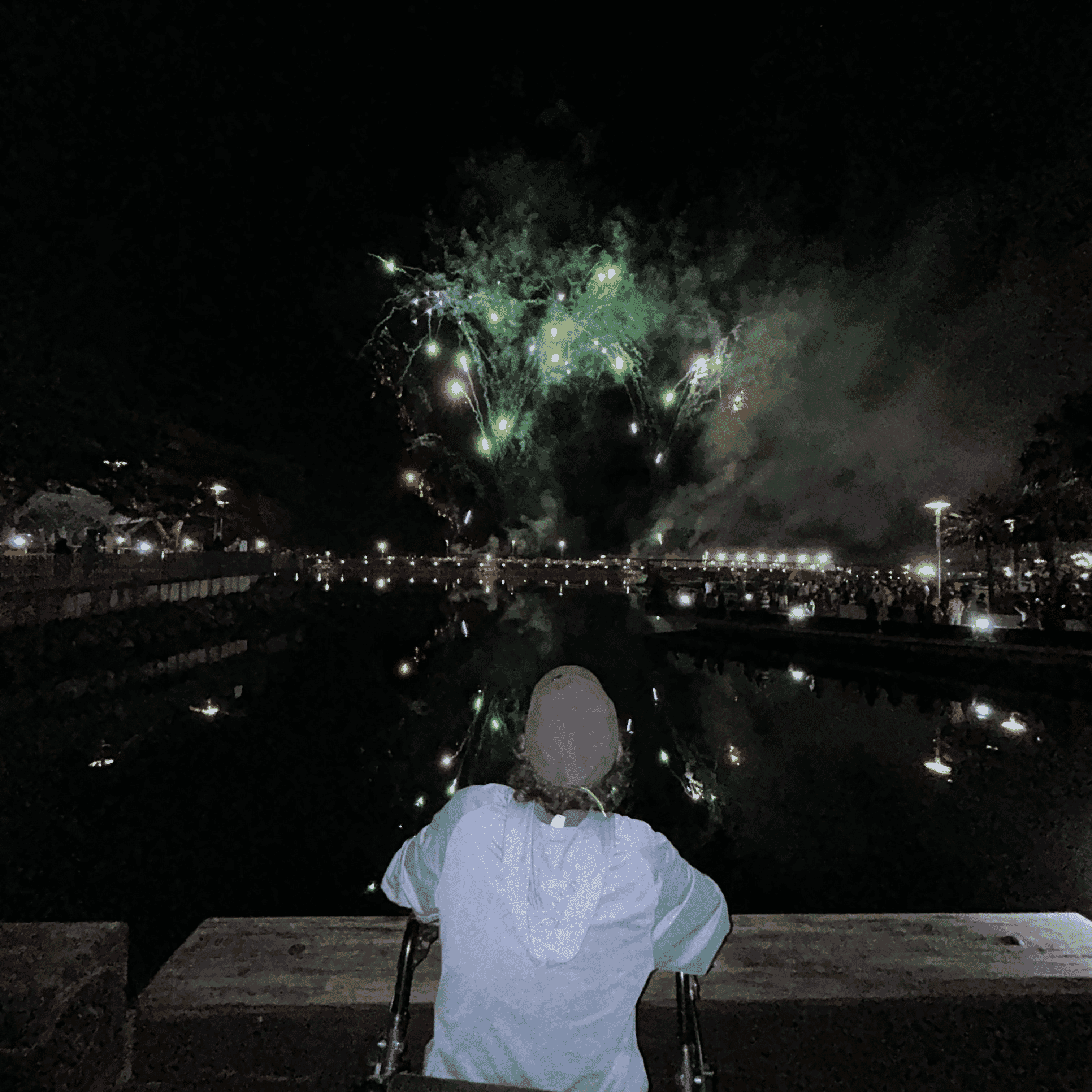 At night, Jasko looks out over calm water as green fireworks burst in the sky and reflections shimmer across the harbour.